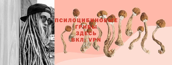 МДПВ Нефтегорск