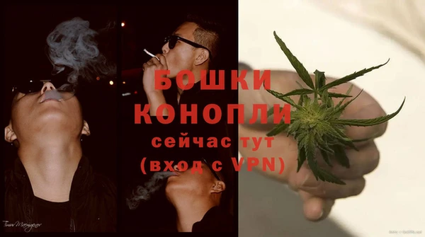 индика Аксай
