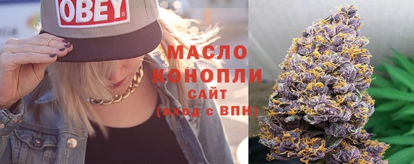 spice Богданович