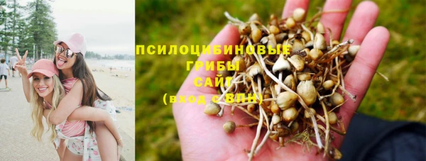амф Наволоки