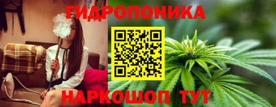 тгк Кимры