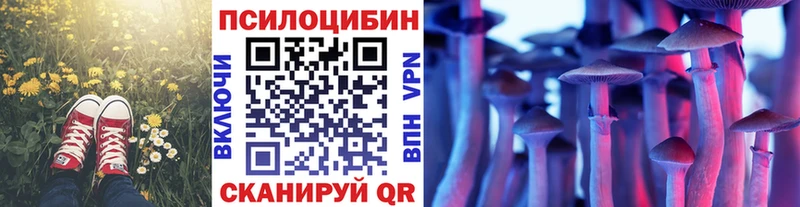 закладки  ОМГ ОМГ tor  Галлюциногенные грибы Psilocybine cubensis  Курск 