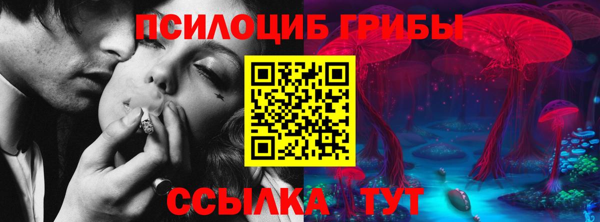 Курск  Псилоцибиновые грибы Psilocybe  Вход с VPN  Псилоцибиновые грибы Psilocybine cubensis 